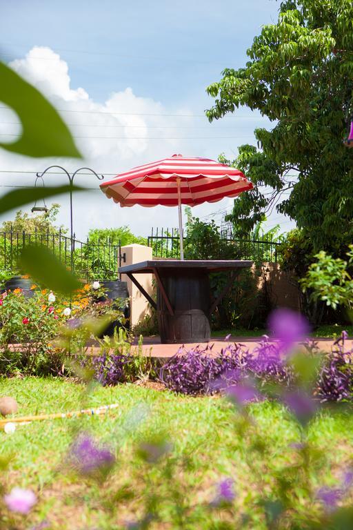 Casa Da Buena Vista Bed & Breakfast