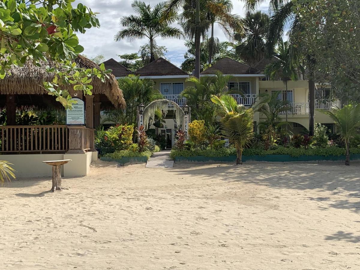 Pousada King At Oceanview In Jamaica - Enjoy 7 Miles Of White Beach!