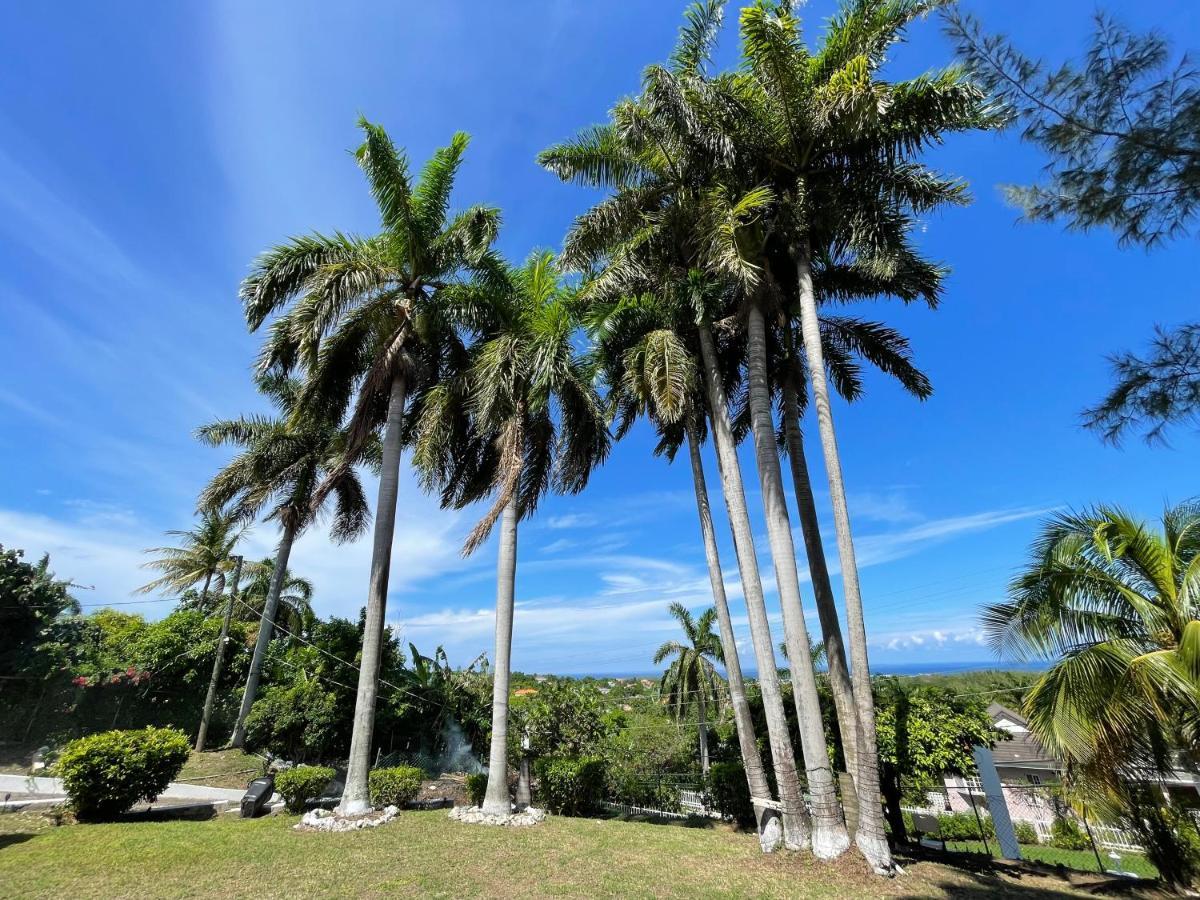 Peaceful Palms Guest house