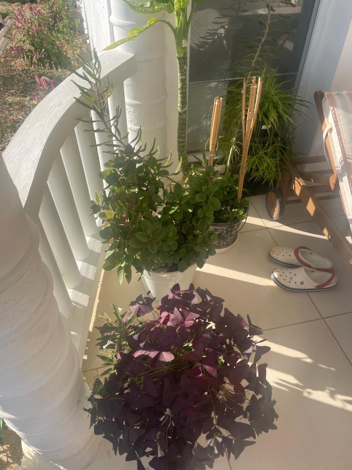 Guest house Villamobay *