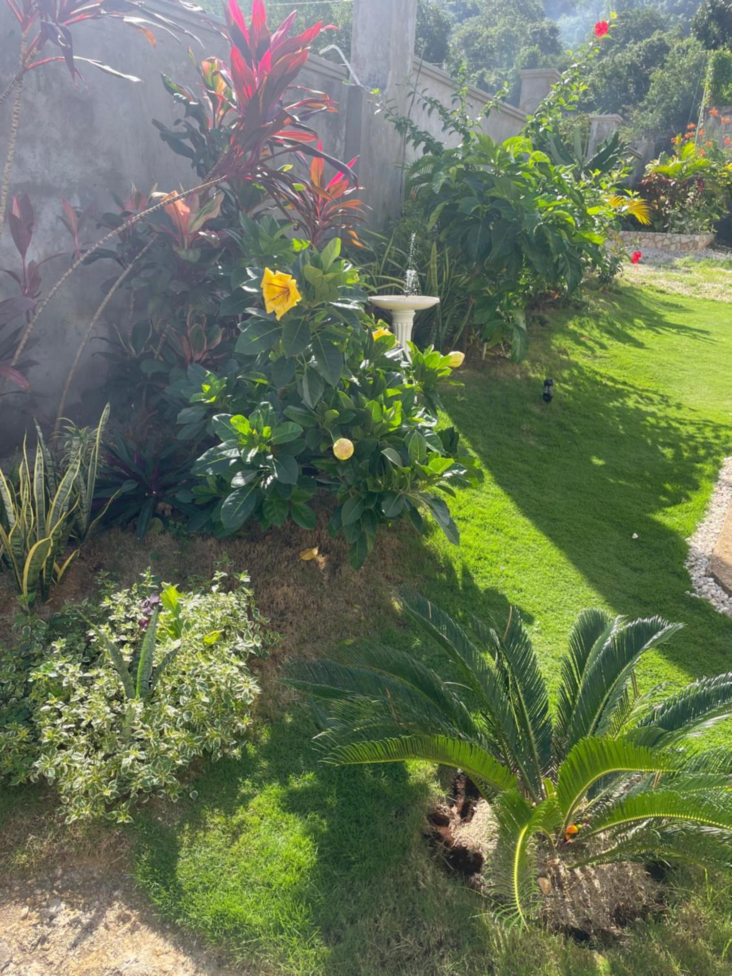 Villamobay Guest house *