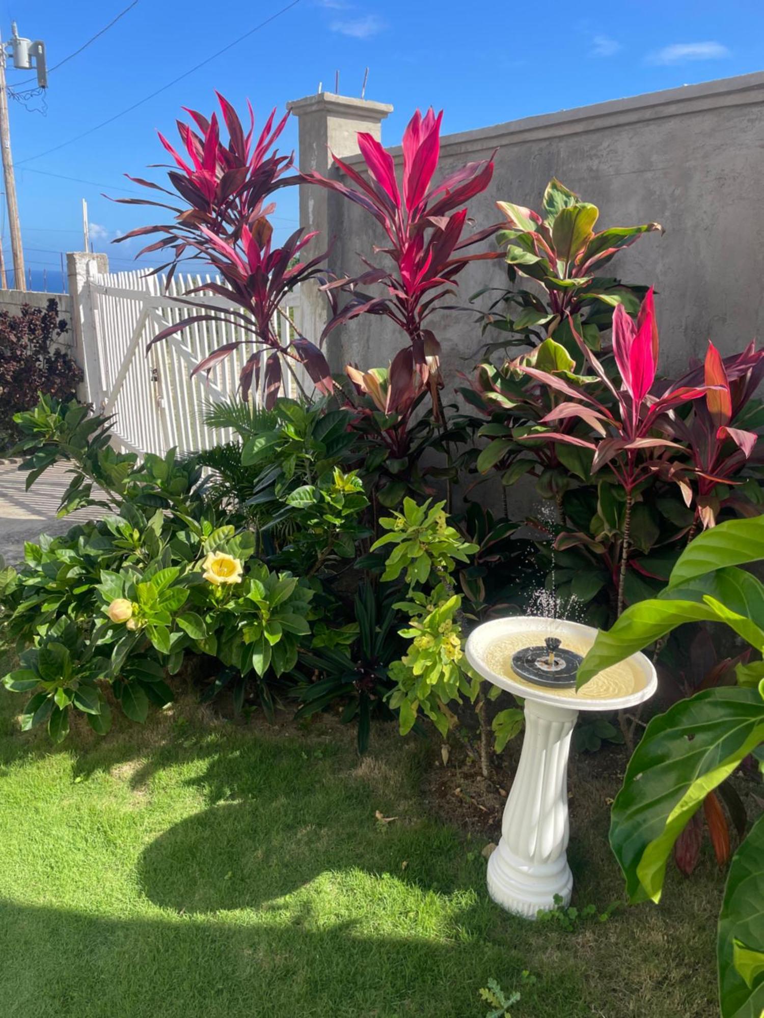 Villamobay Montego Bay