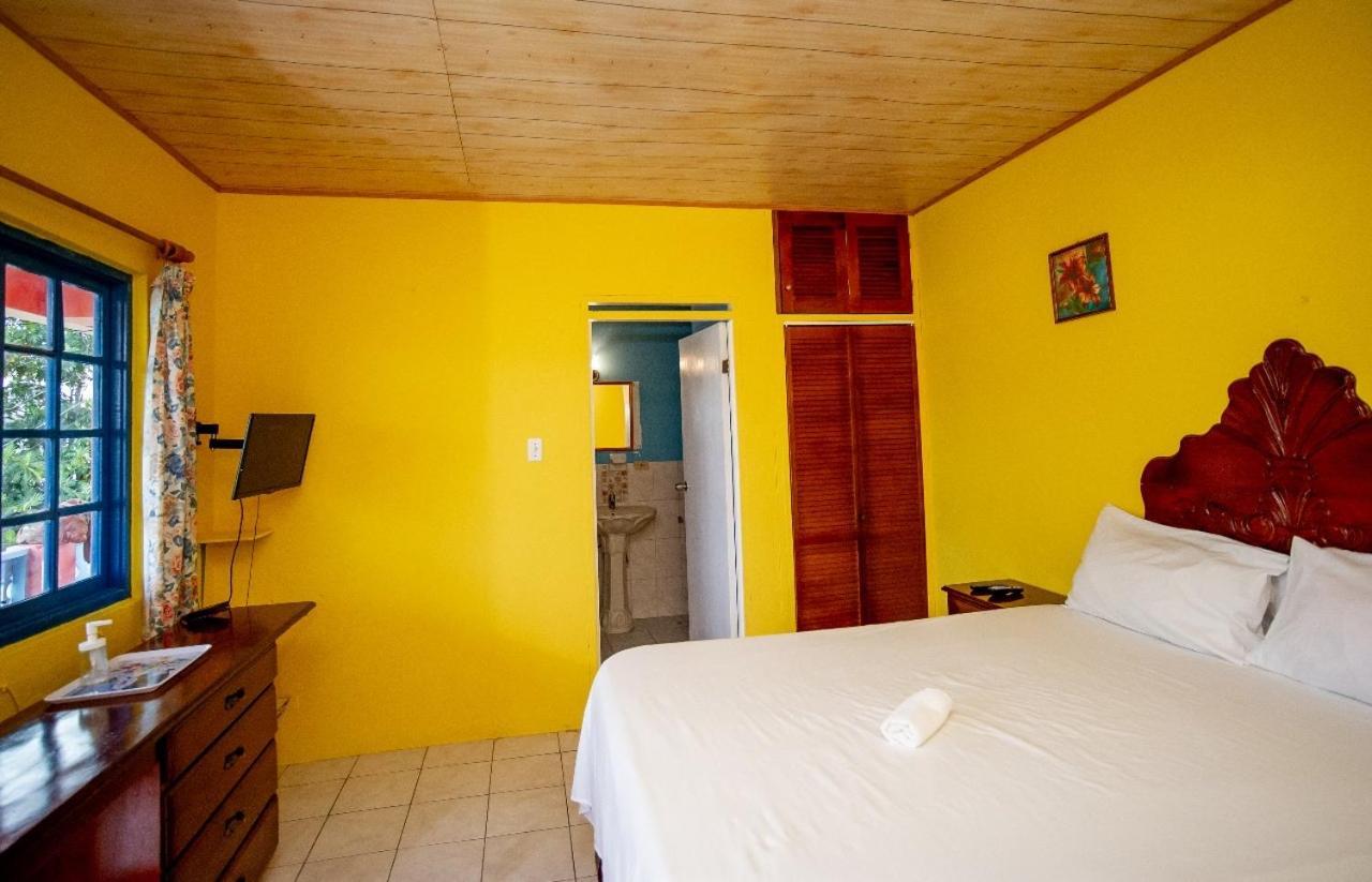 Waterloo Guest house