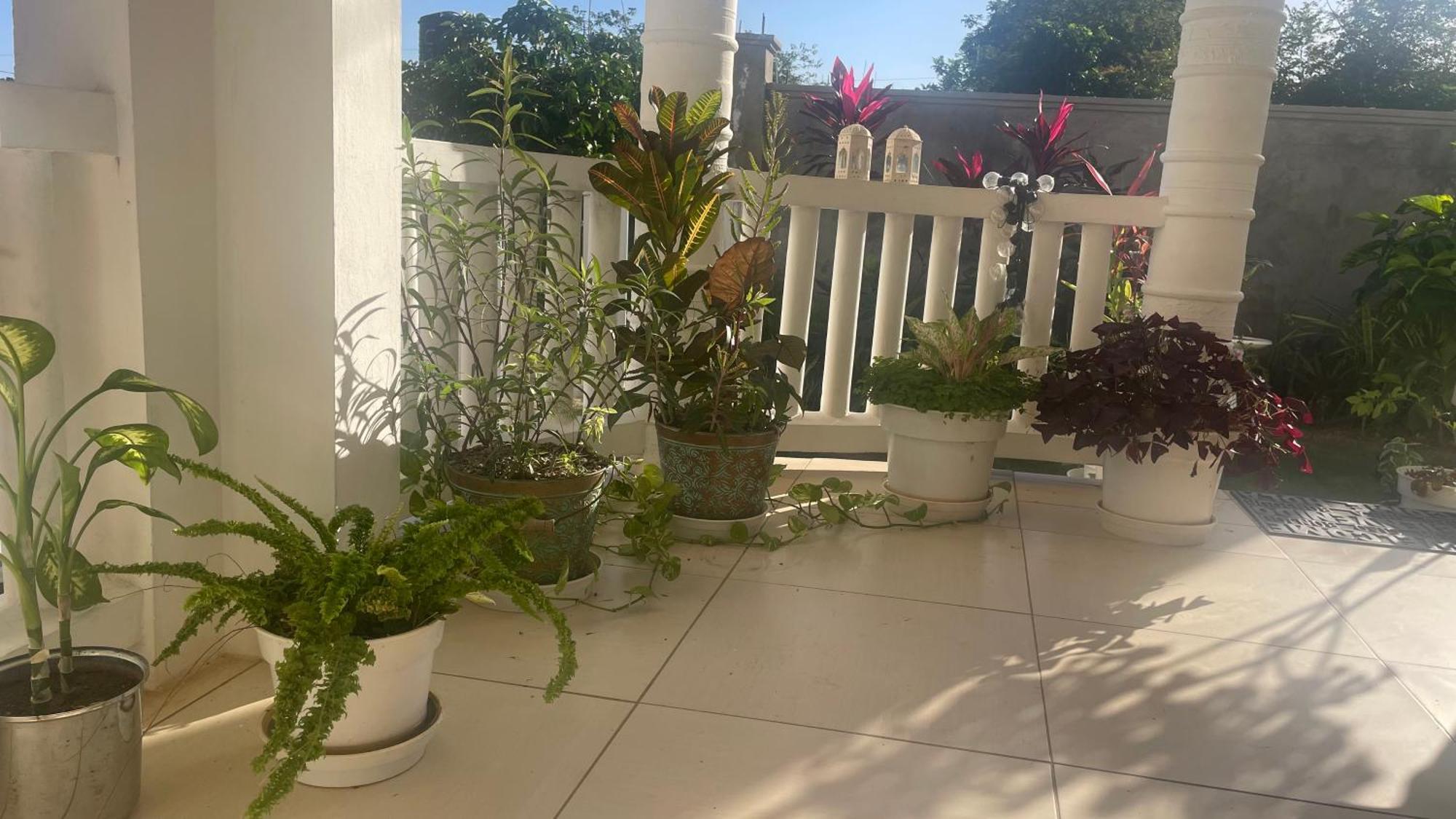 Guest house Villamobay