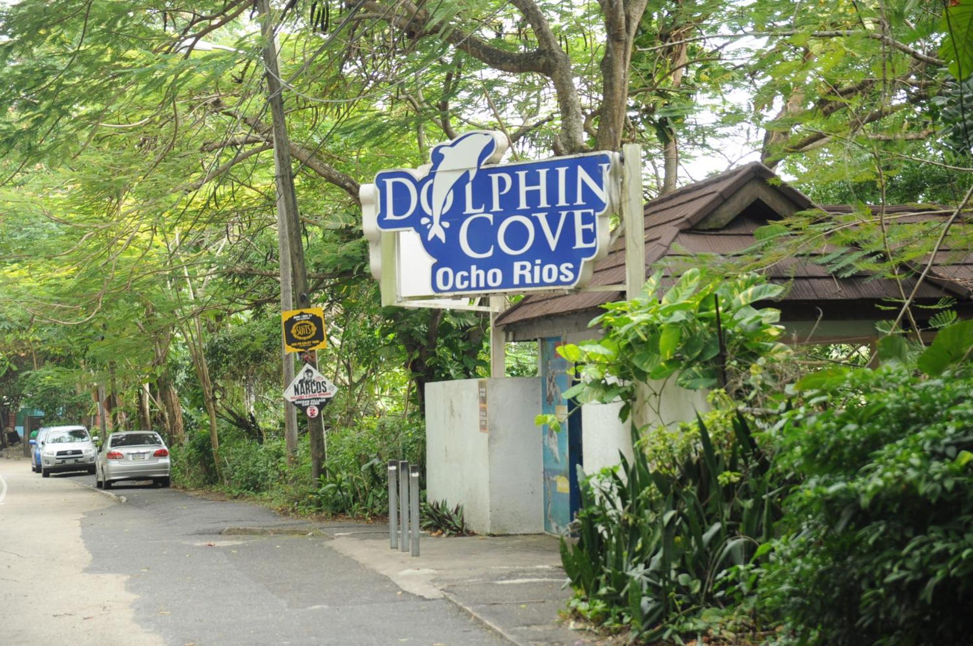Aileen Palm Cove Ja Ocho Rios