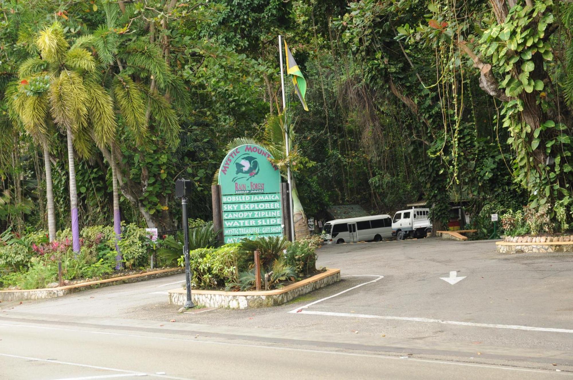 Aileen Palm Cove Ja *