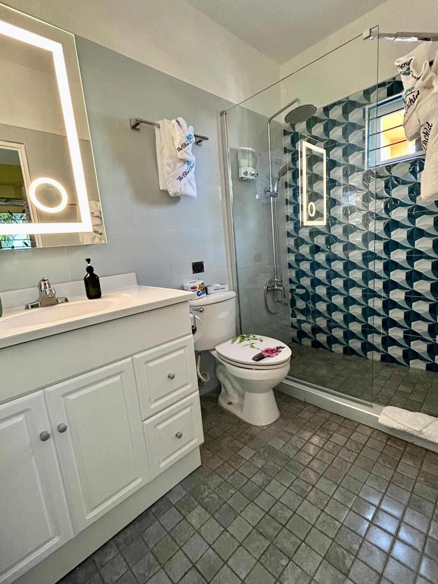 The Blue Orchid Bed & Breakfast Montego Bay