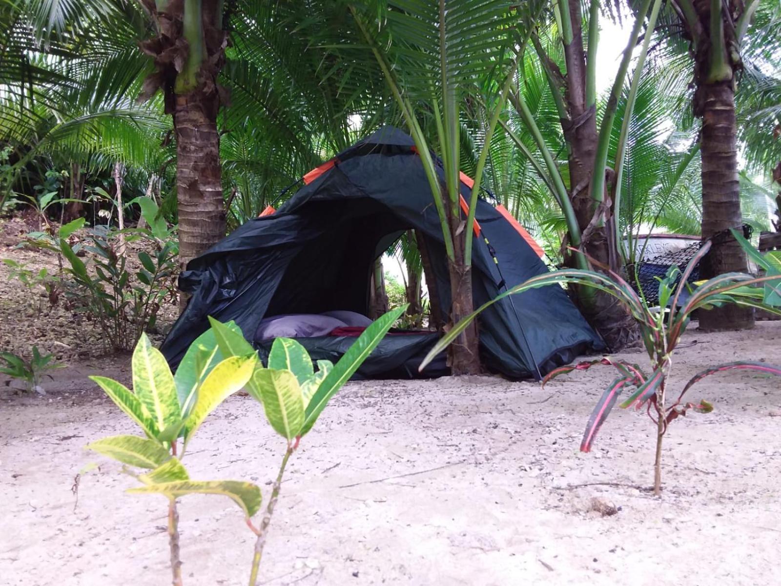 Brian's House Bed & Breakfast Port Antonio