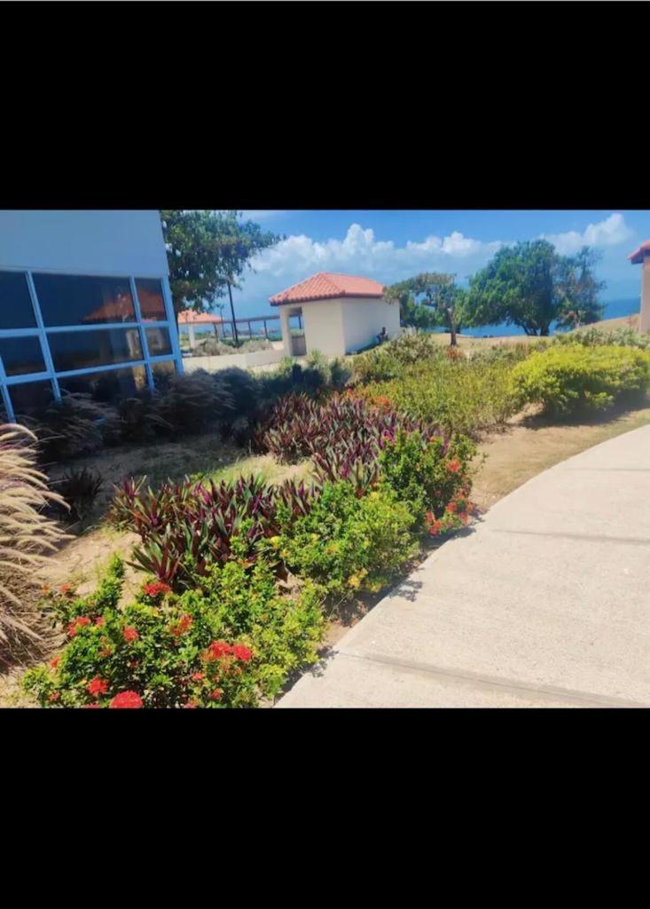 Aparthotel Lisa Ocean Front *