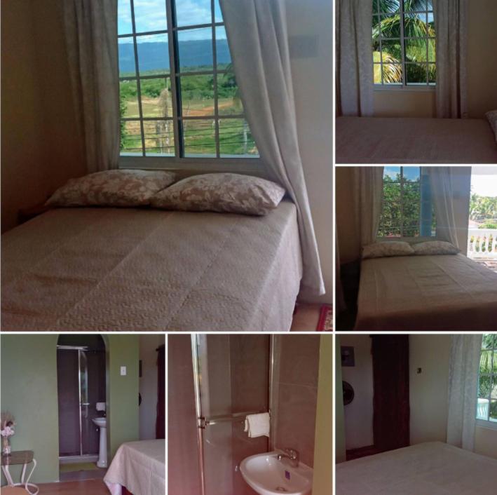 Pet-friendly 1br With Stunning Views Guest house