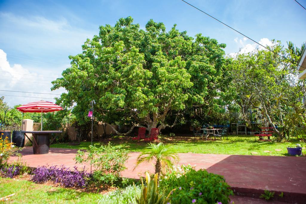 Casa Da Buena Vista 3*