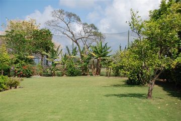 Hotel Cindy Runaway Bay