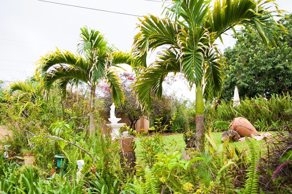 Casa Da Buena Vista Bed & Breakfast