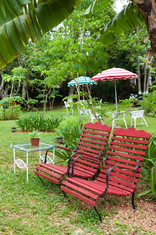 Bed & Breakfast Casa Da Buena Vista Mandeville