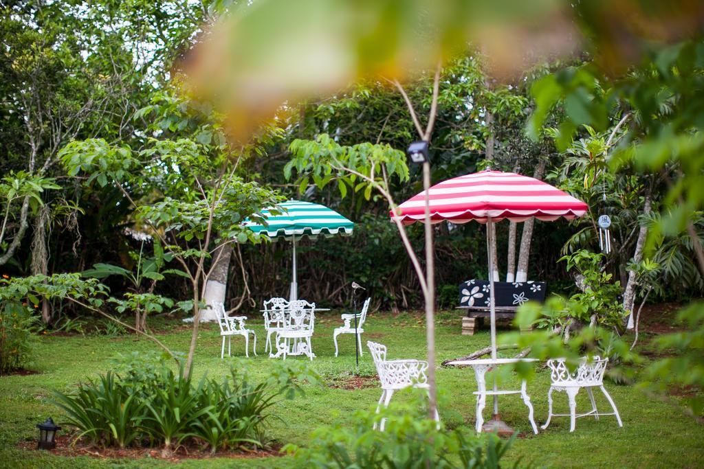 Casa Da Buena Vista Bed & Breakfast Mandeville