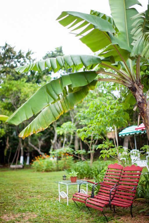 Casa Da Buena Vista Bed & Breakfast 3*