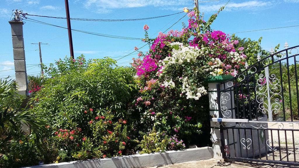 Bed & Breakfast Edens Gate Runaway Bay