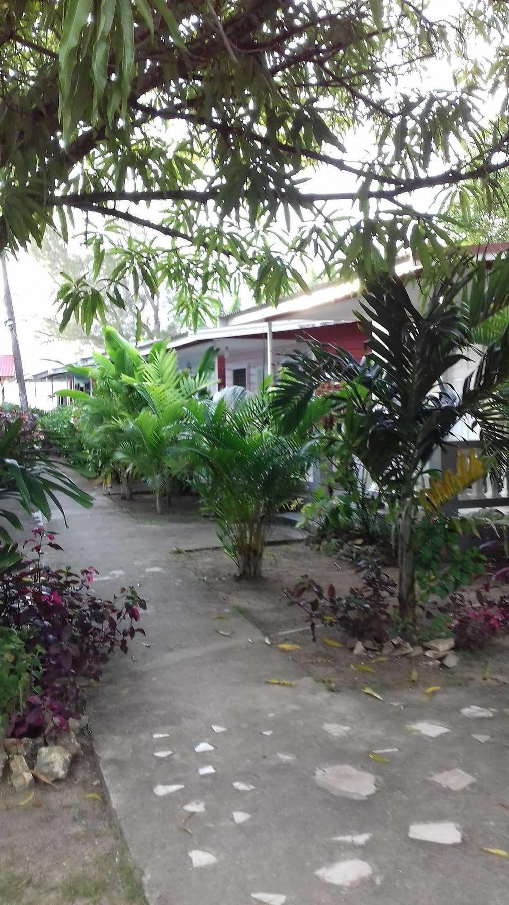Hotel Roots Bamboo Negril