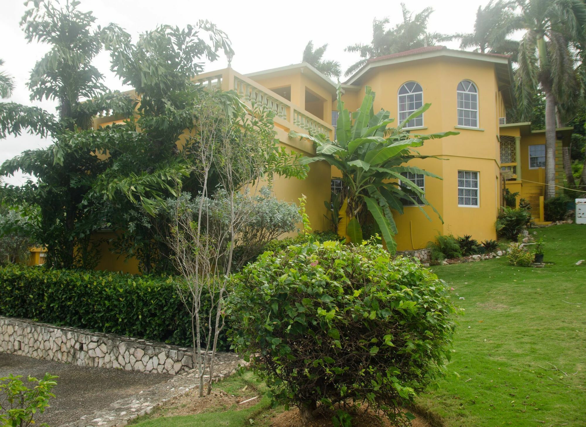 Ocean Crest Guest house Montego Bay