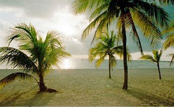 Vista De La Bahia Hotel Montego Bay