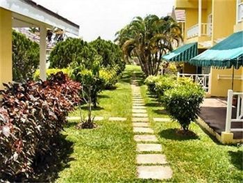 Paradise L Horizon - *